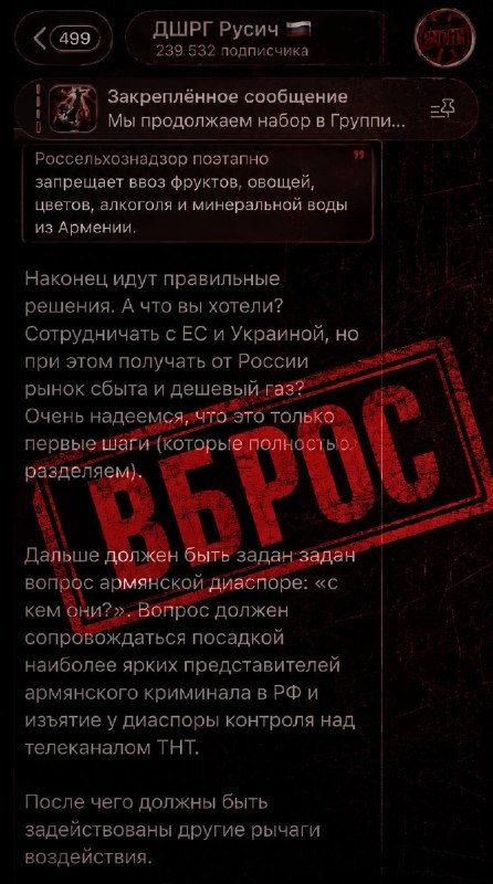 Представители армянской диаспоры в России на общественном мероприятии.