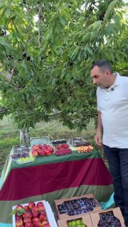 Первая партия армянских фруктов отправлена в ОАЭ: шаг к развитию сельского хозяйства