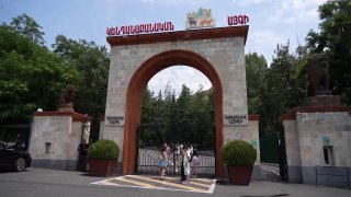 Животные в карантинной зоне Ереванского зоопарка после перевозки из особняка Гагика Царукяна